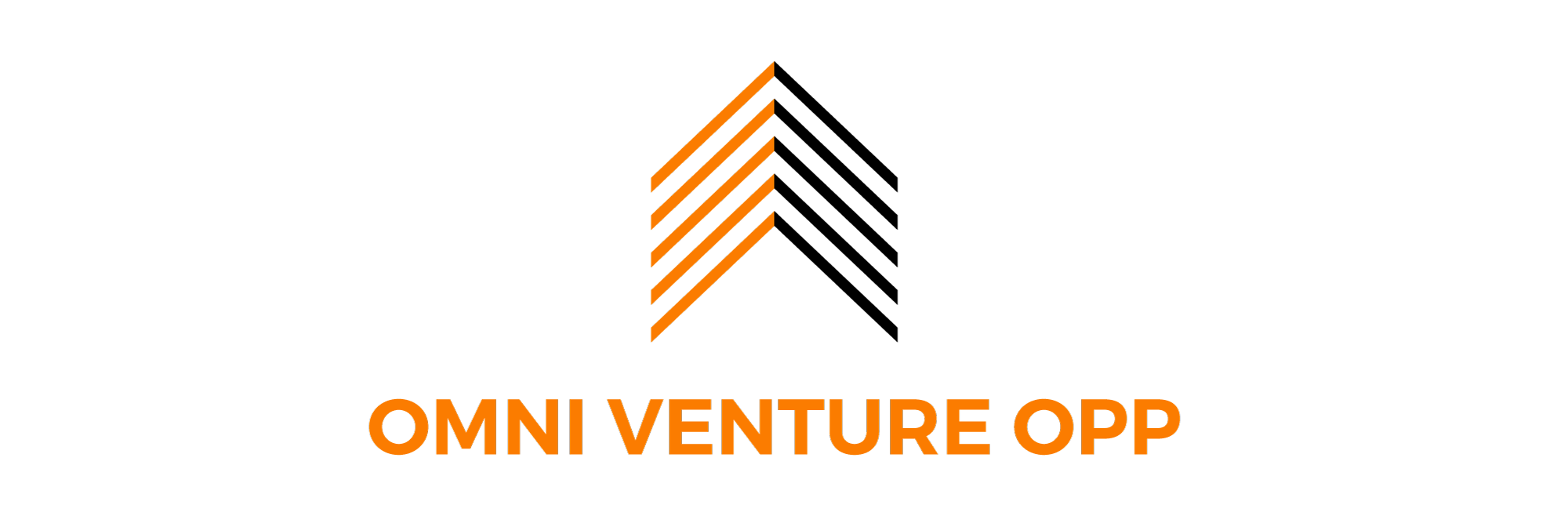 OMNI VENTURE OPP LLC